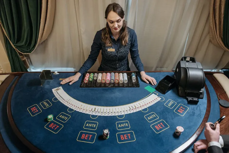 blackjack shoe casino dealer